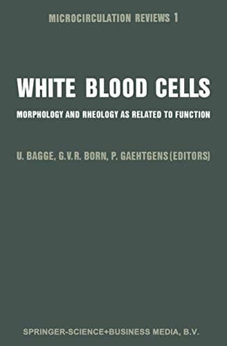 White Blood Cells Morphology and Rheology as Related to Function