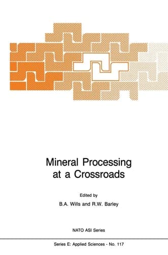 Mineral Processing at a Crossroads: Problems and Prospects (NATO Science Series E:, 117)