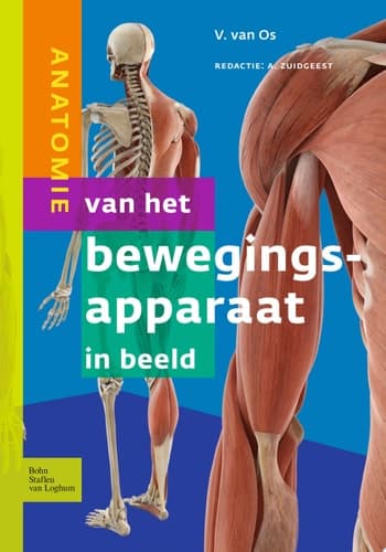 Anatomie van het bewegingsapparaat in beeld