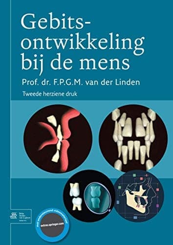 Gebitsontwikkeling bij de mens