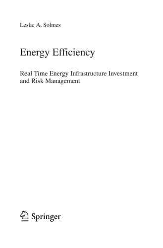 Energy Efficiency Real Time Energy Infrastructure Investment and Risk Management