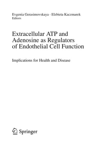Extracellular ATP and adenosine as regulators of endothelial cell function Implications for health and disease