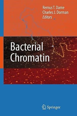 Bacterial Chromatin