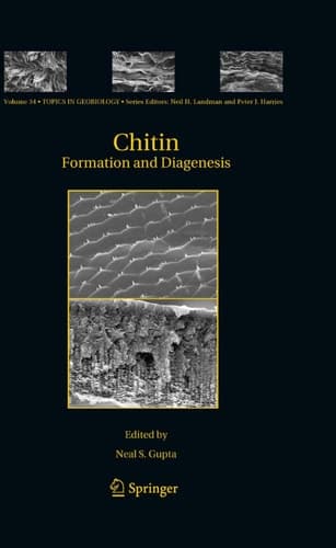 Chitin Formation and Diagenesis