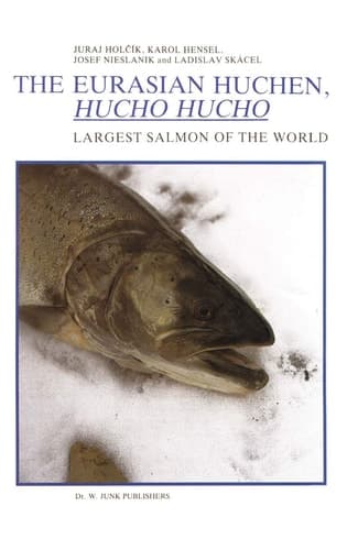 The Eurasian Huchen, Hucho hucho Largest Salmon of the World