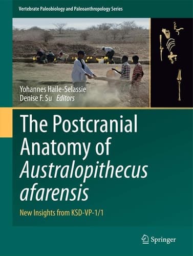 The Postcranial Anatomy of Australopithecus afarensis New Insights from KSD-VP-1/1