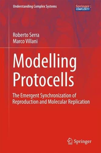Modelling Protocells The Emergent Synchronization of Reproduction and Molecular Replication