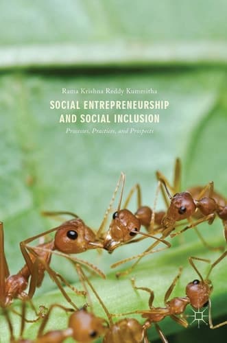 Social Entrepreneurship and Social Inclusion Processes, Practices, and Prospects